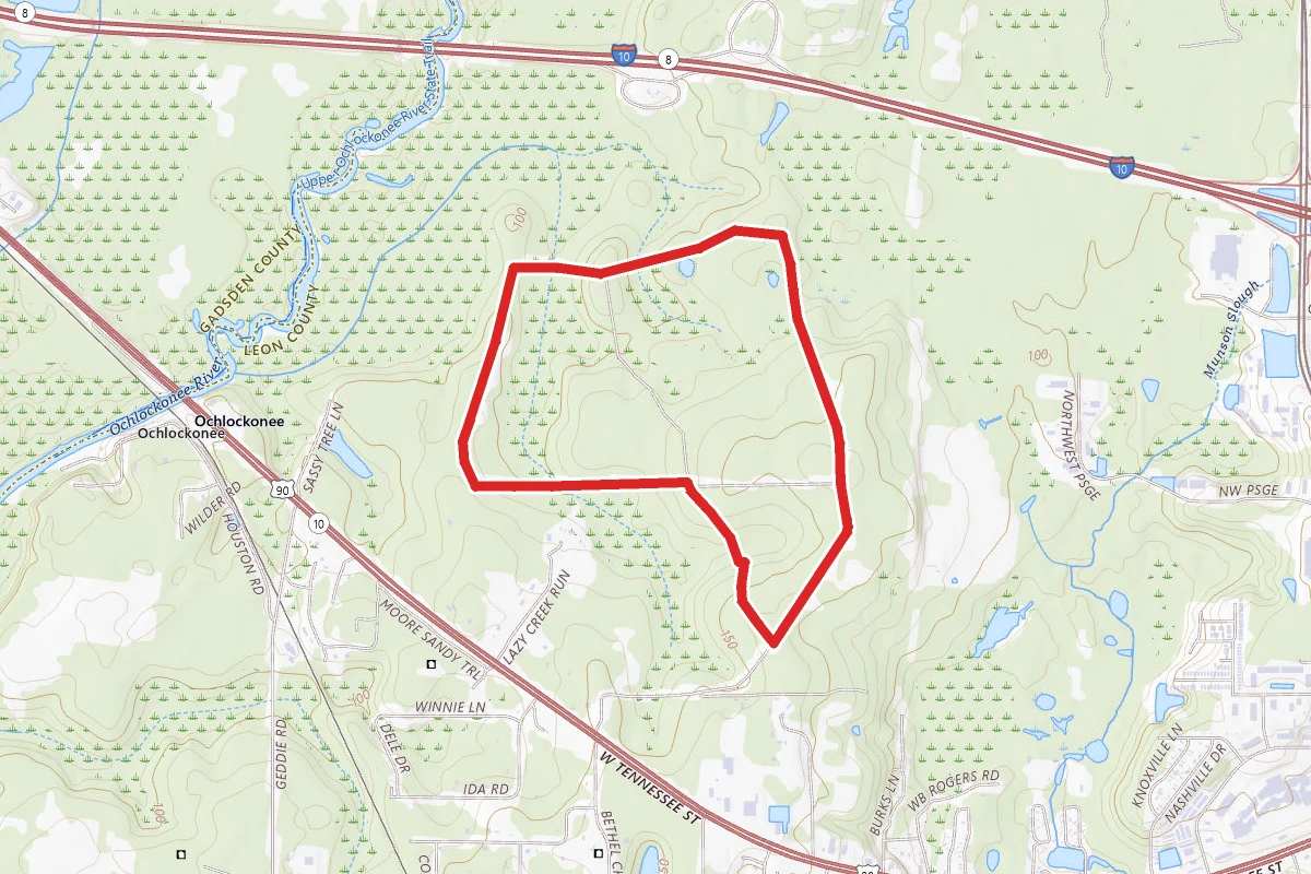 Lewis Loop