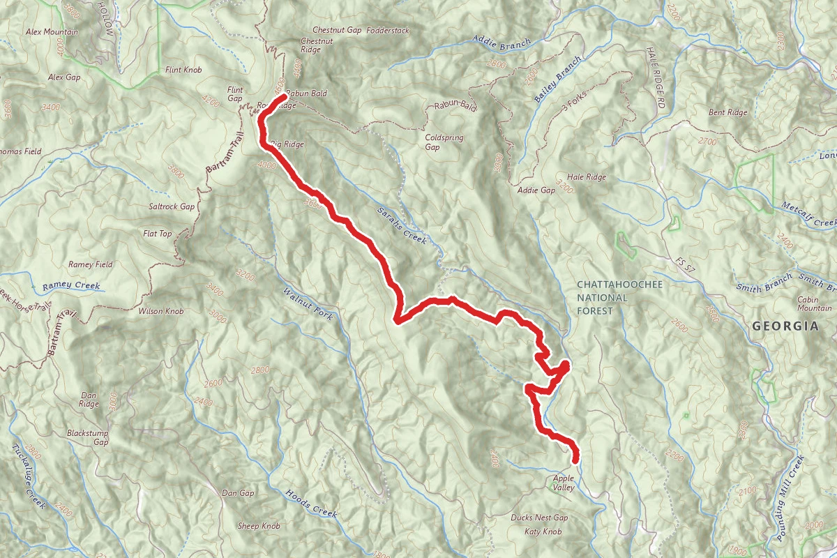Rabun Bald via Sarah's Creek