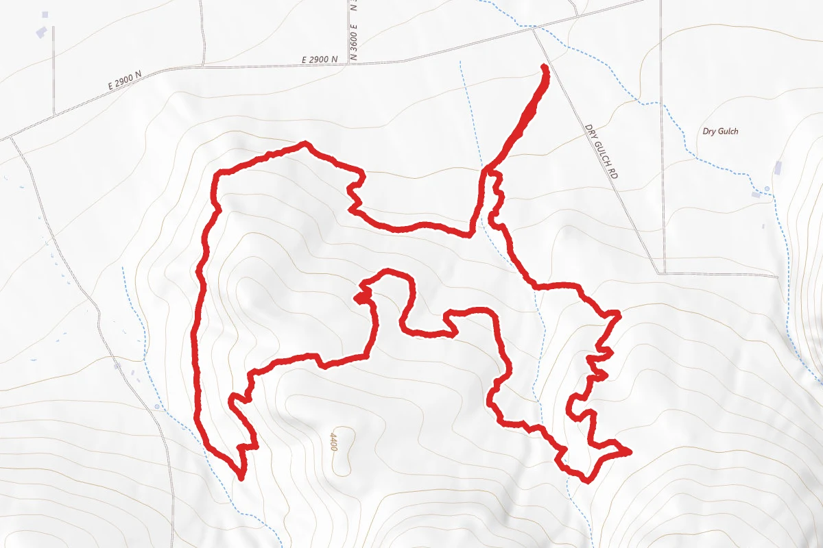 David's Loop Trail