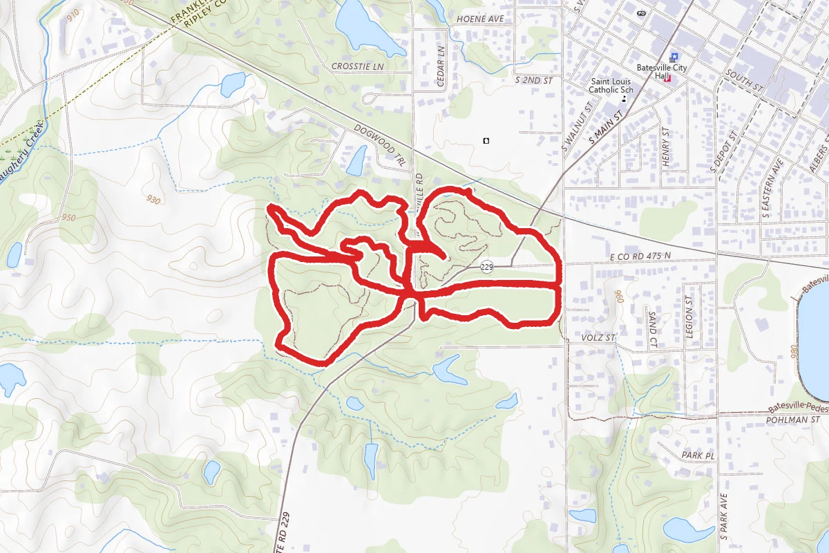 Brums Woods Trail