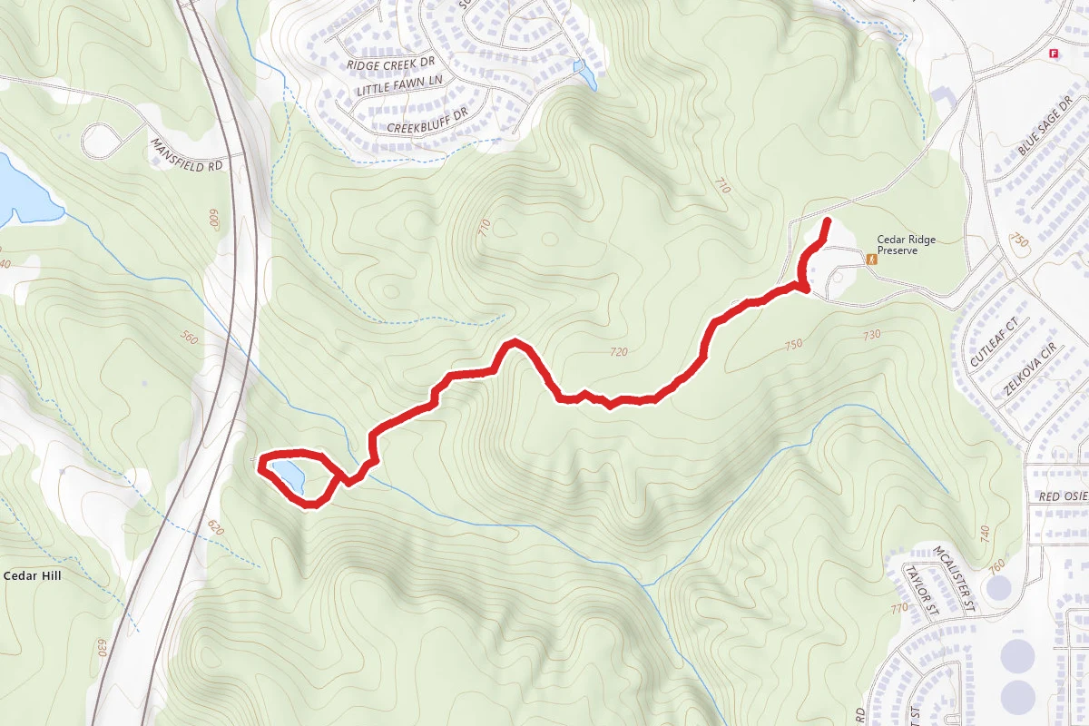 Cattail Pond via Escarpment Trail