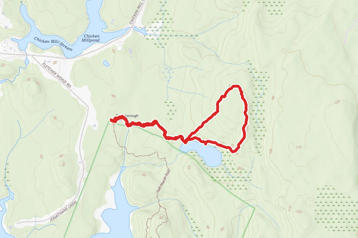 Frances B. Wood Preserve
