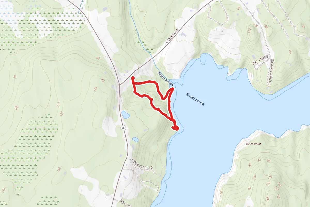 Starr Lampson Loop