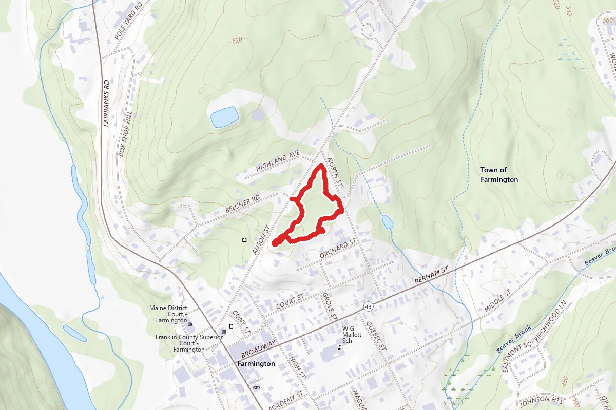 Bonney Woods Walk