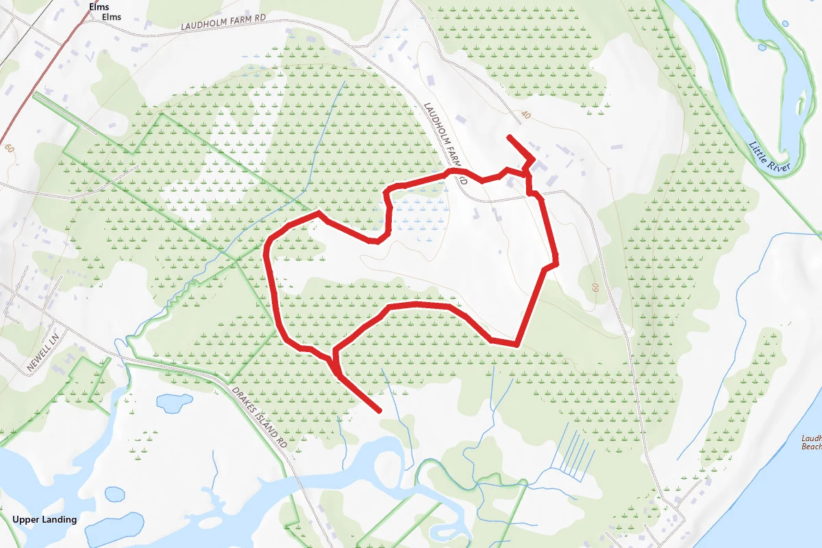 Muskie Trail and Pilger Trail Loop
