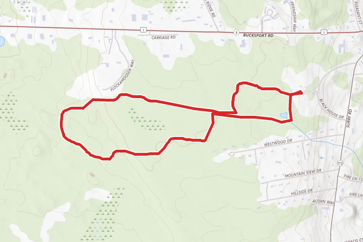 Woodlawn Park Loop