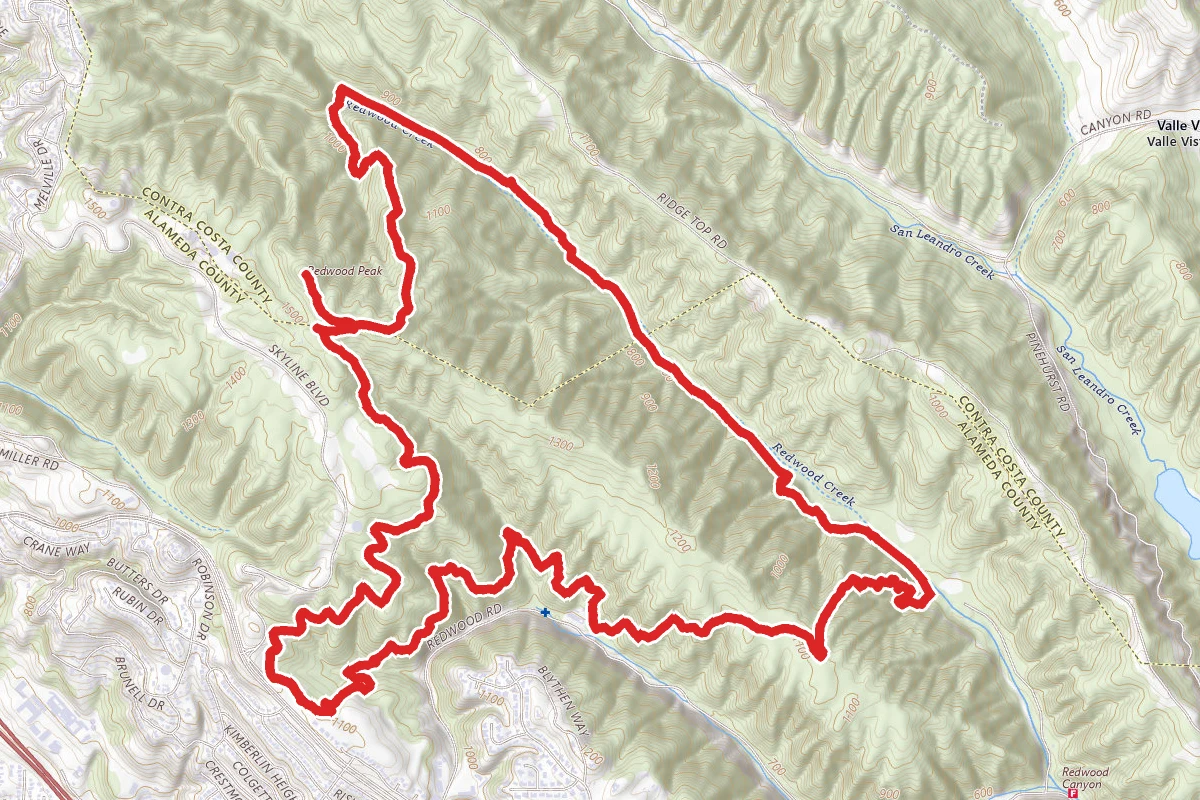Dunn, Golden Spike, Tate, West Ridge, Orchard, Bridle, Stream, Tres Senda, Starflower, Madrone, West Ridge, Graham, Dunn Trails Loop