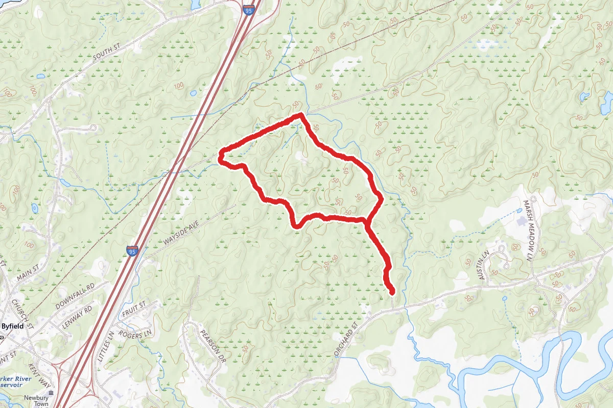 Martin Burns Loop