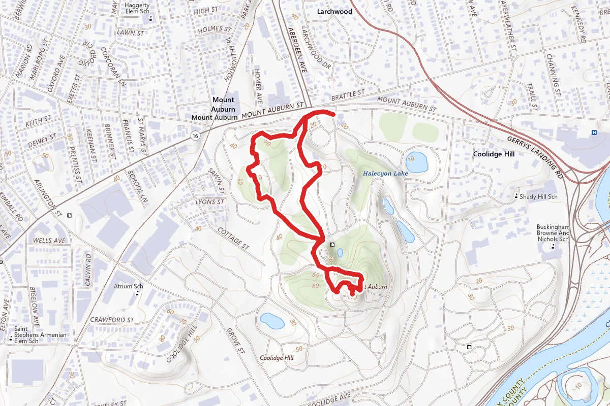 Mount Auburn Loop