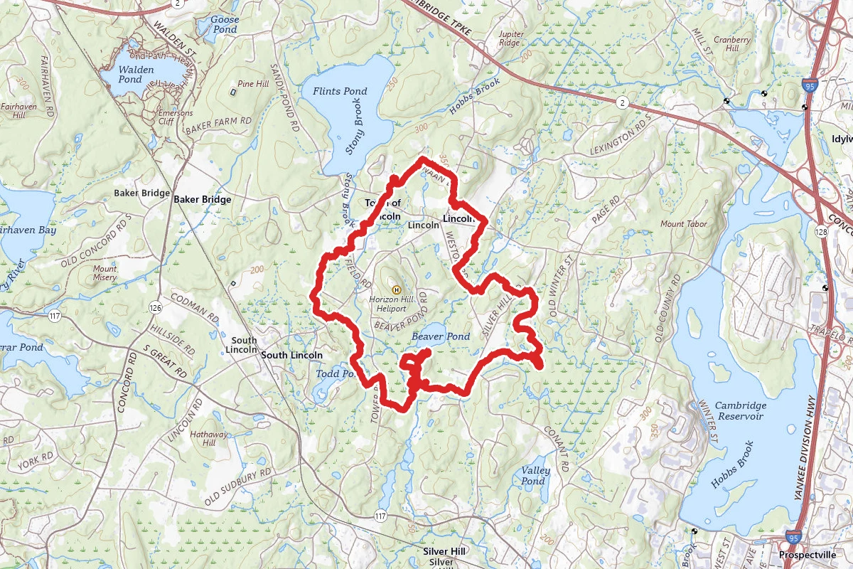 Lincoln Beaver Pond Loop