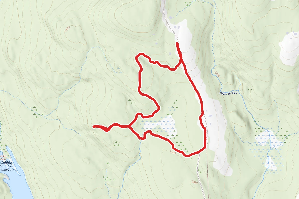 Sally Robbins Trail