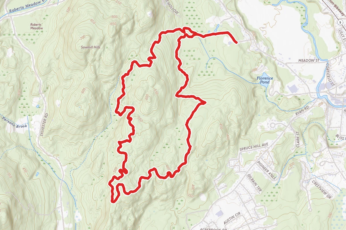 Icehouse, Flat Rock, Wild Side and Brook Trail Loop