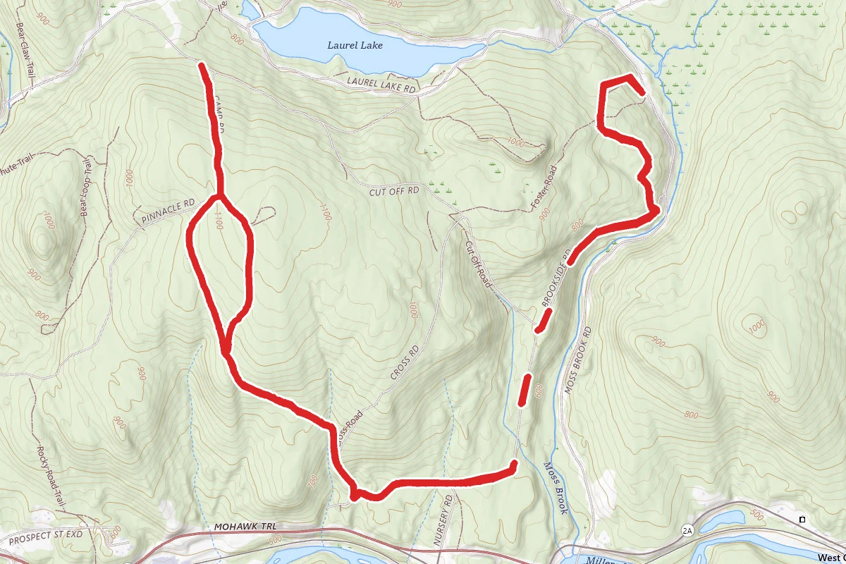 Erving Forest Trail