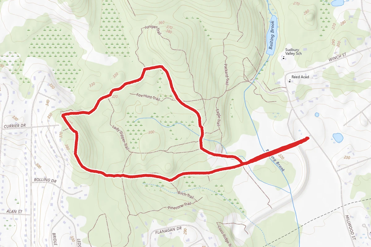 Moore, Birch, Hawk, Deer Run Loop