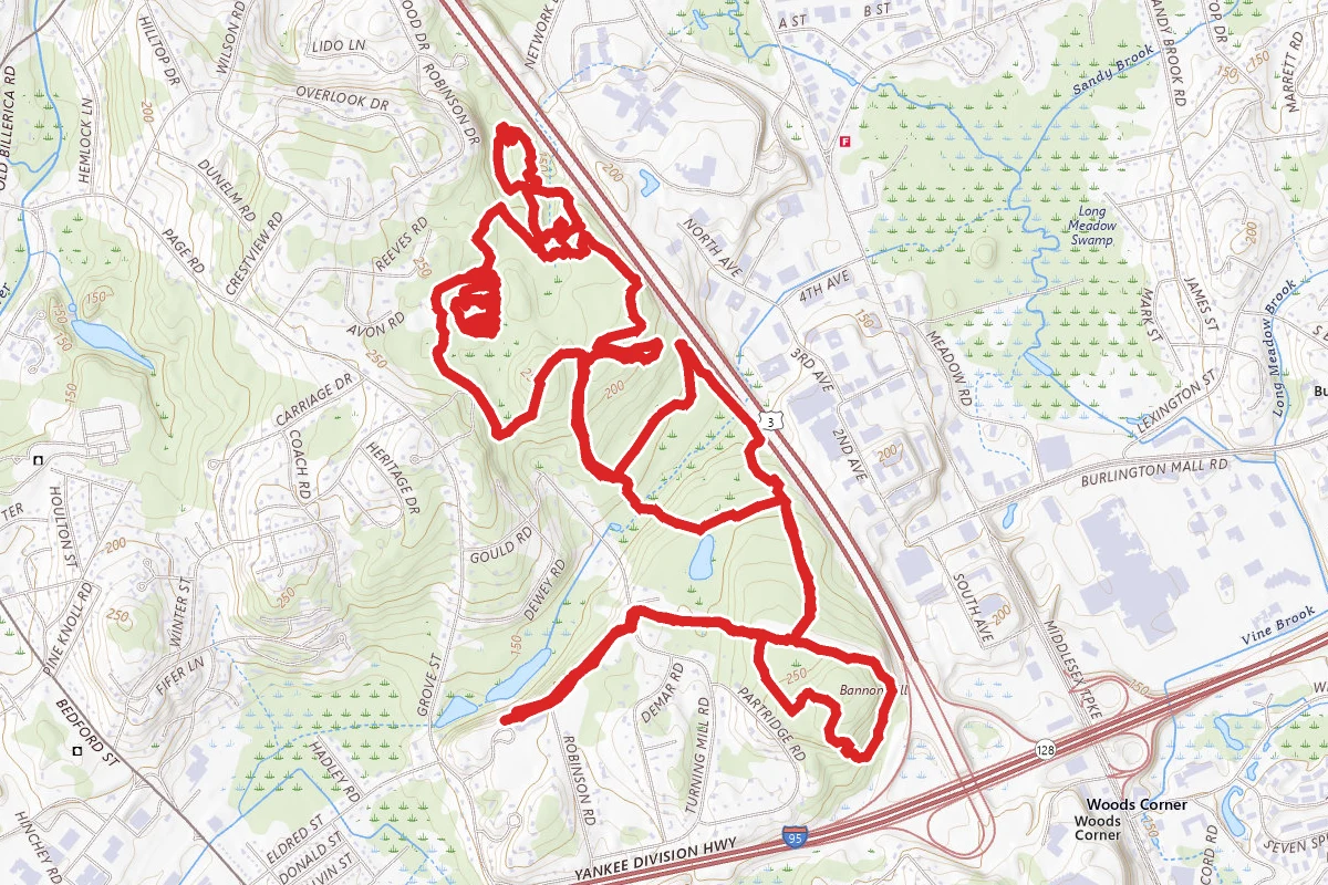 Paint Mine to Powerline Road, Yellow Trail, and Milk Crate Loop