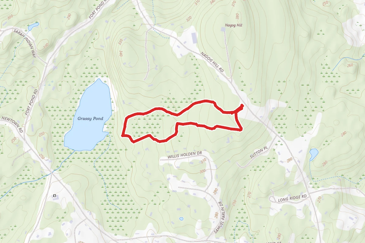 Grassy Pond Yellow Trail Loop