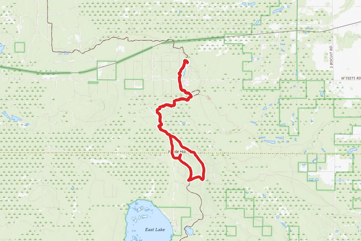 Trout Pond to Maple Hill