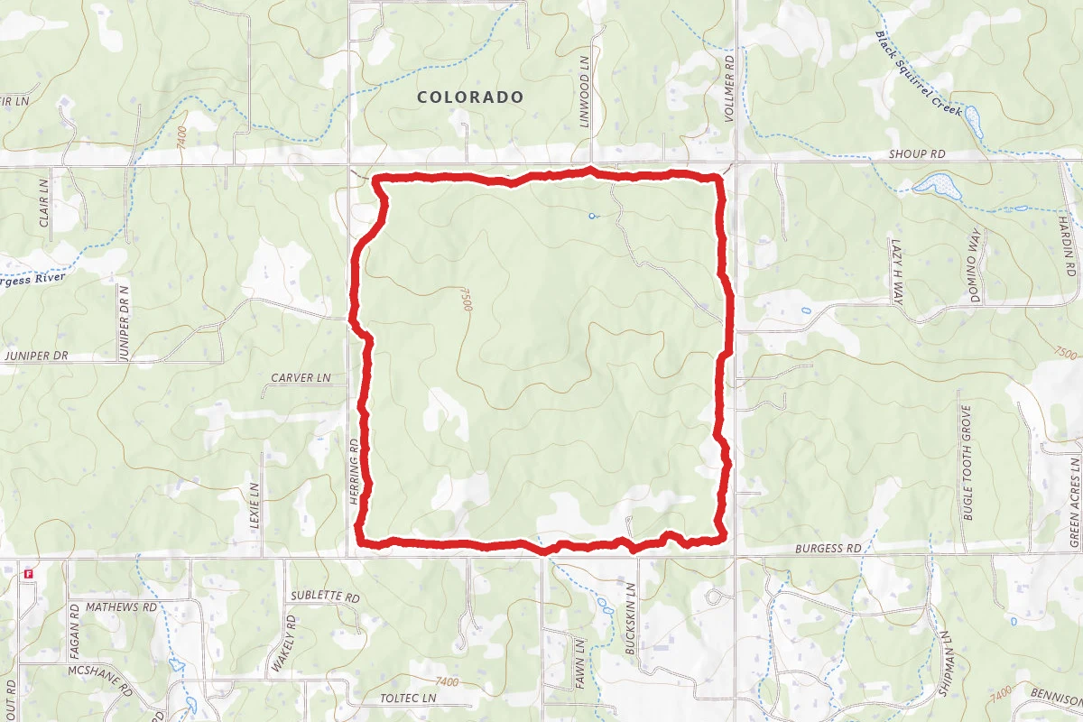 Black Forest Section 16 Loop