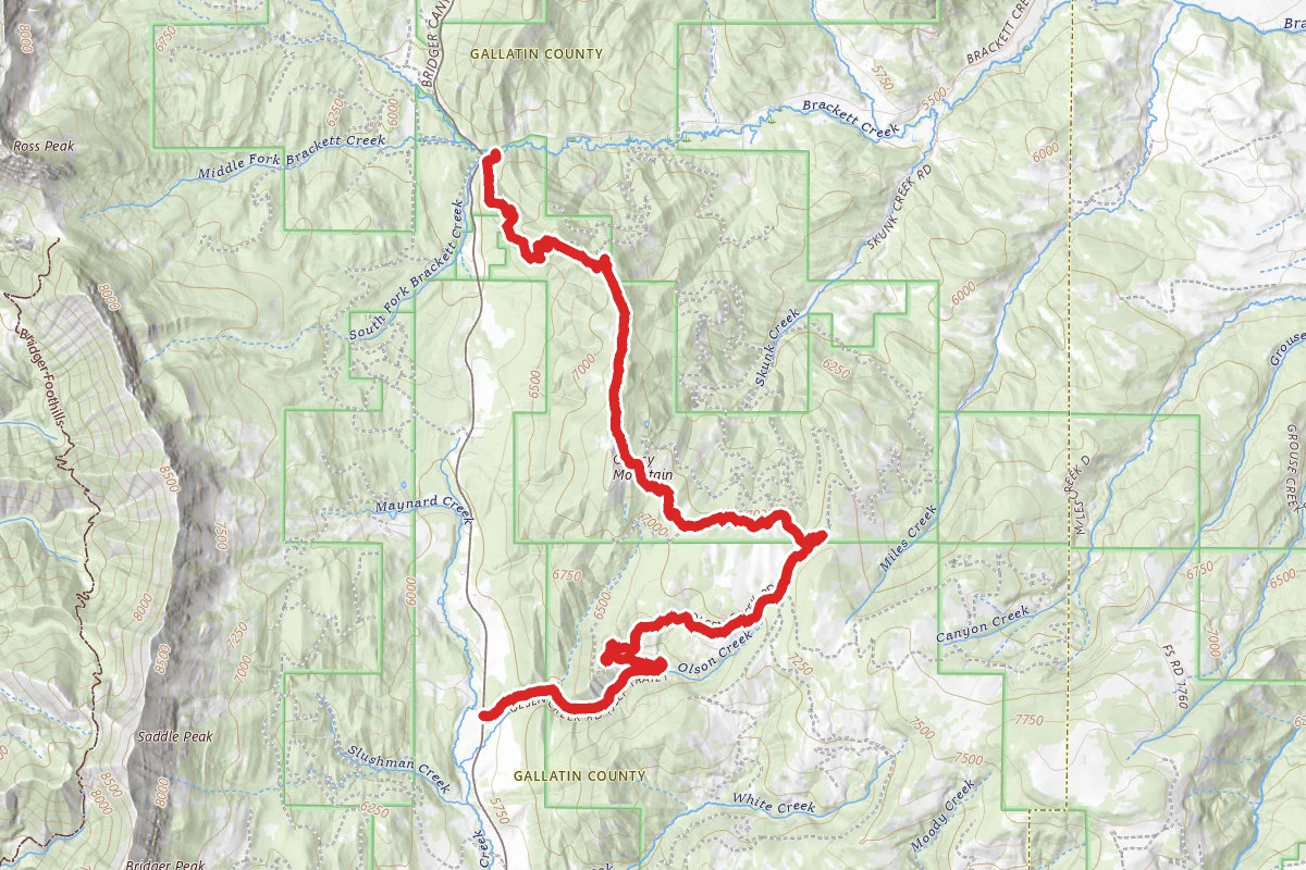Olson-Stone Trail