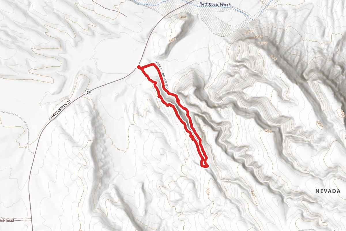 Fossil Ridge Ravine Loop
