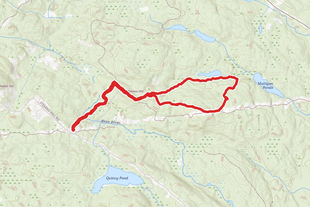 Mulligan Forest Trails