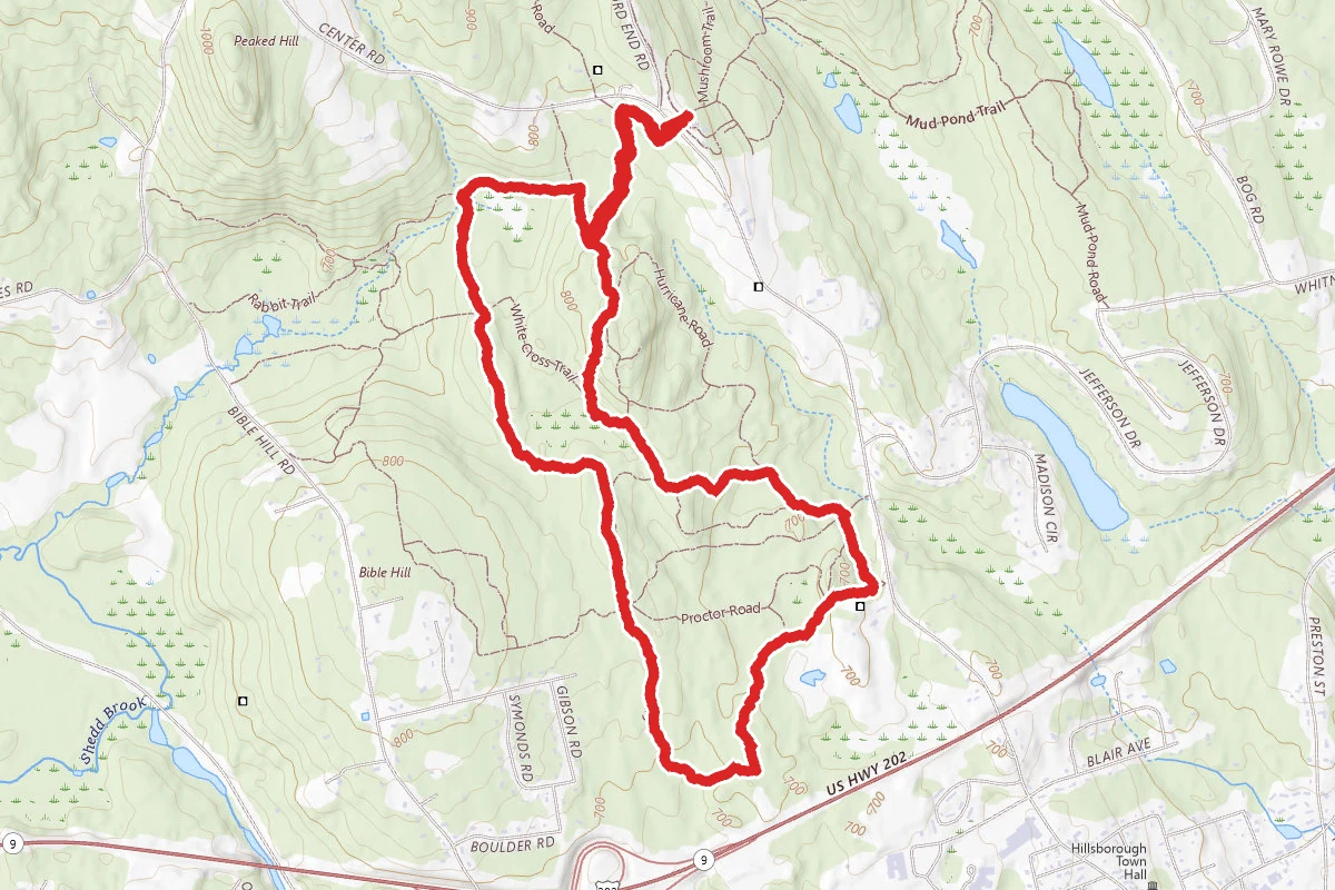Fox Forest Loop