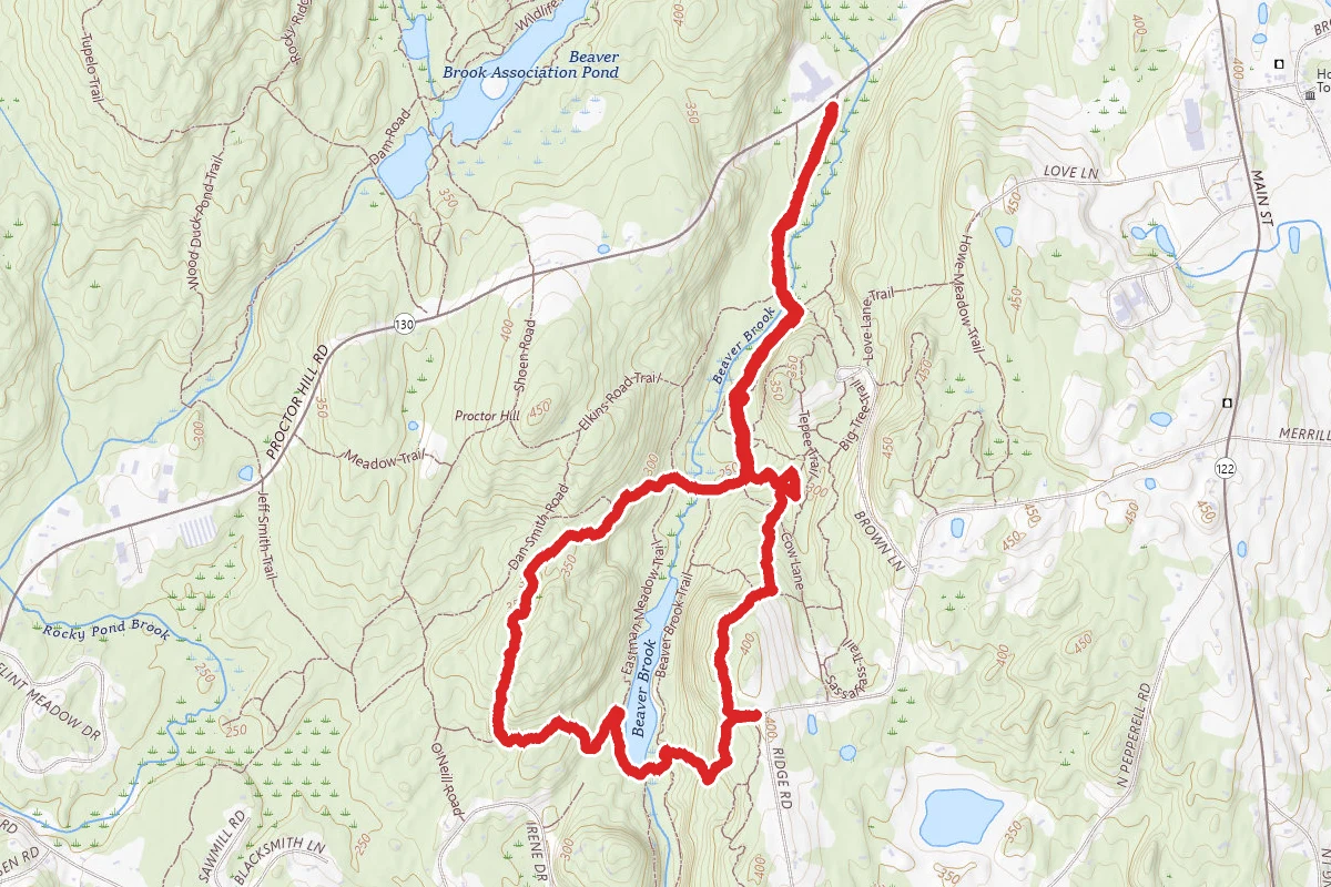 Beaver Brook Trail, Eastman Meadow Trail, and Maple Hill Ridge Loop