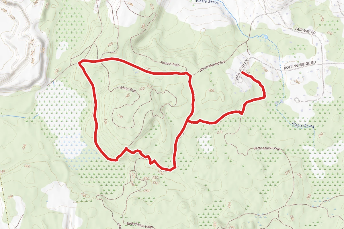 Blue Trail via Betty Mack Trail Loop