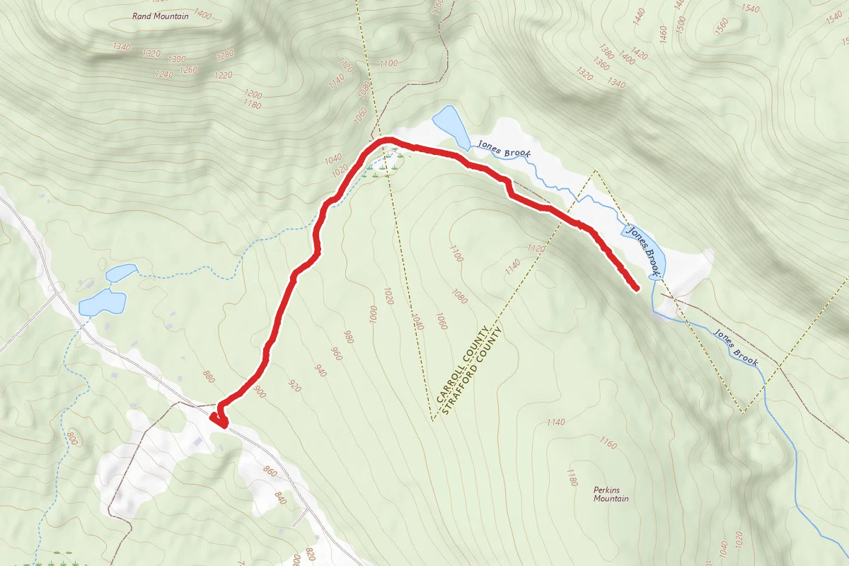 Jones Brook Wildlife Trail