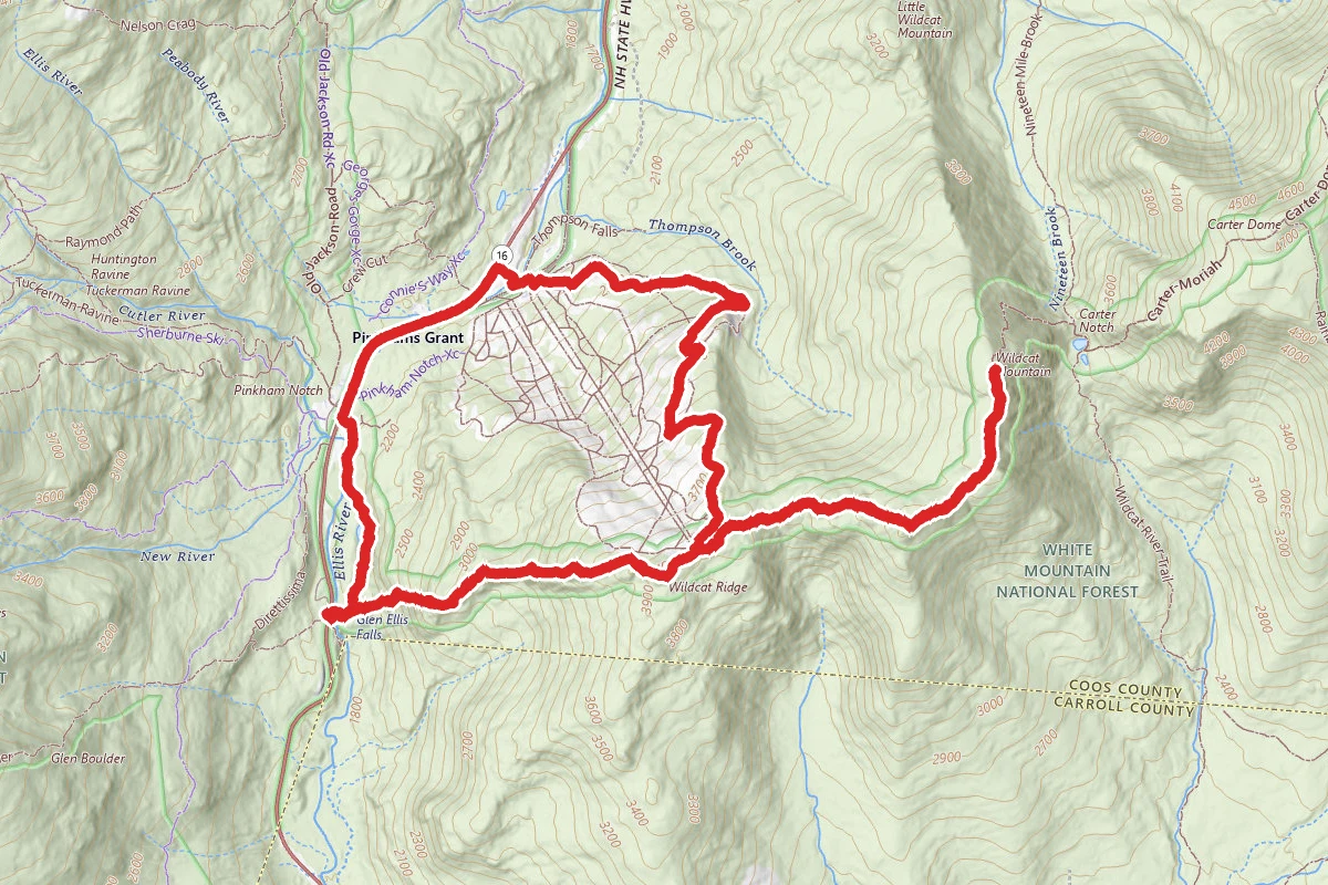 Lost Pond Loop and Wildcat Mountain