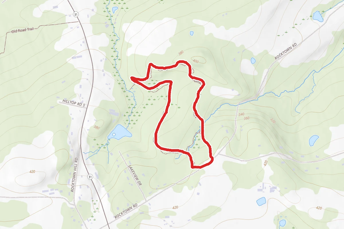 Omick Woods Loop
