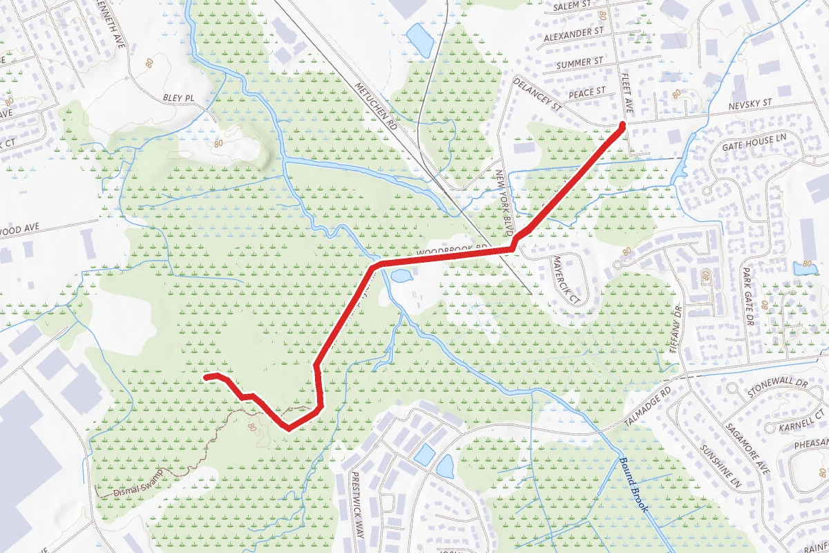 Songbird Trail to Dismal Swamp