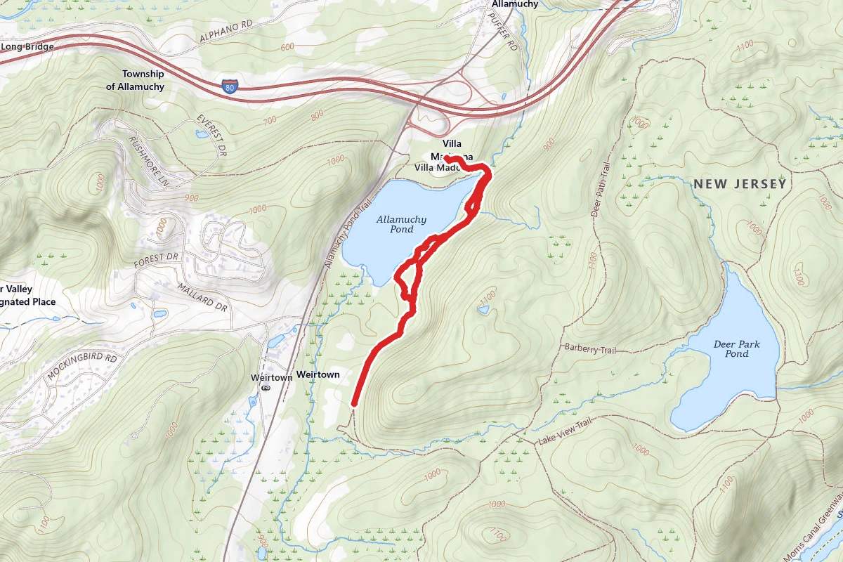 Alamuchy Pond Trail