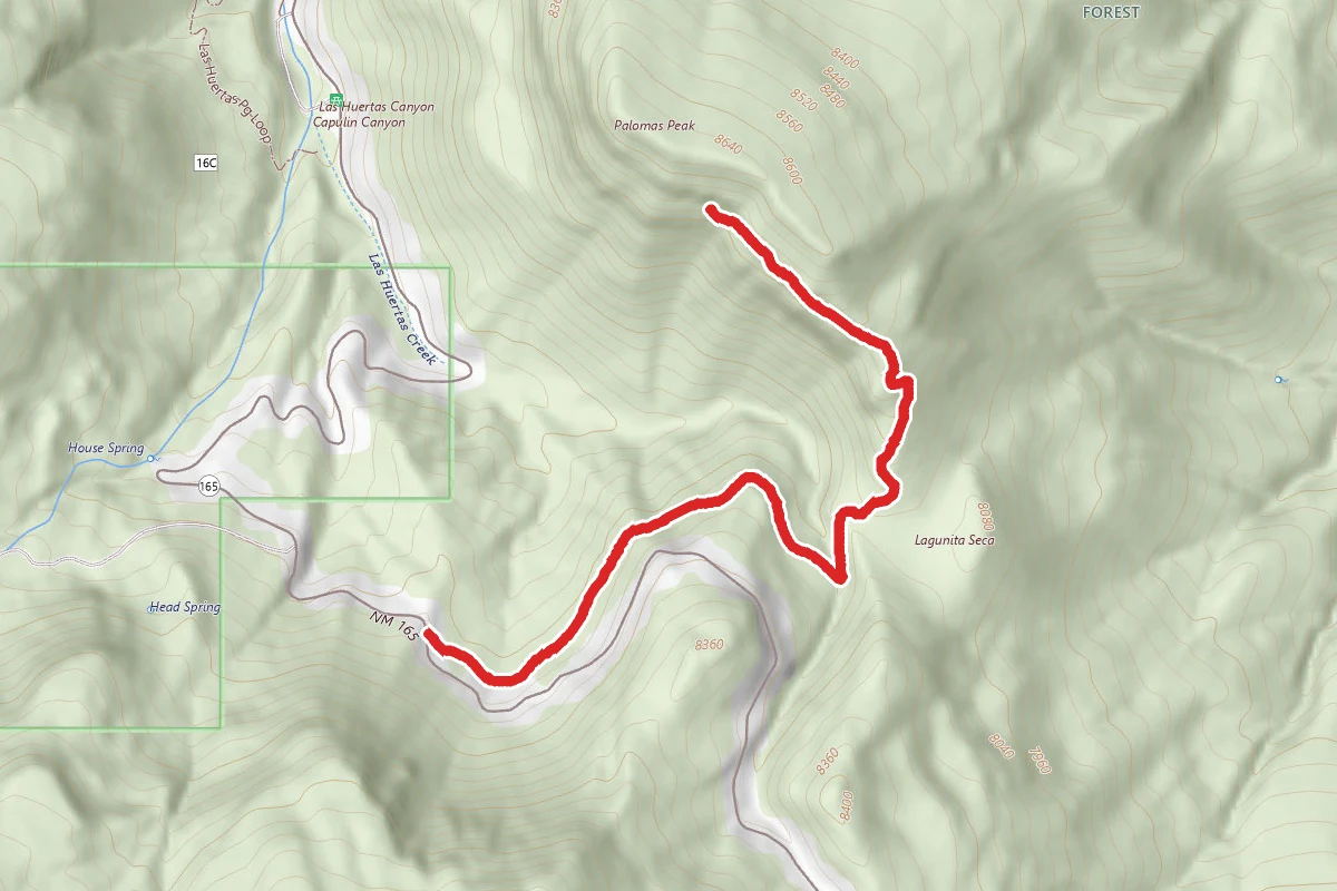 Palomas Peak Trail #109