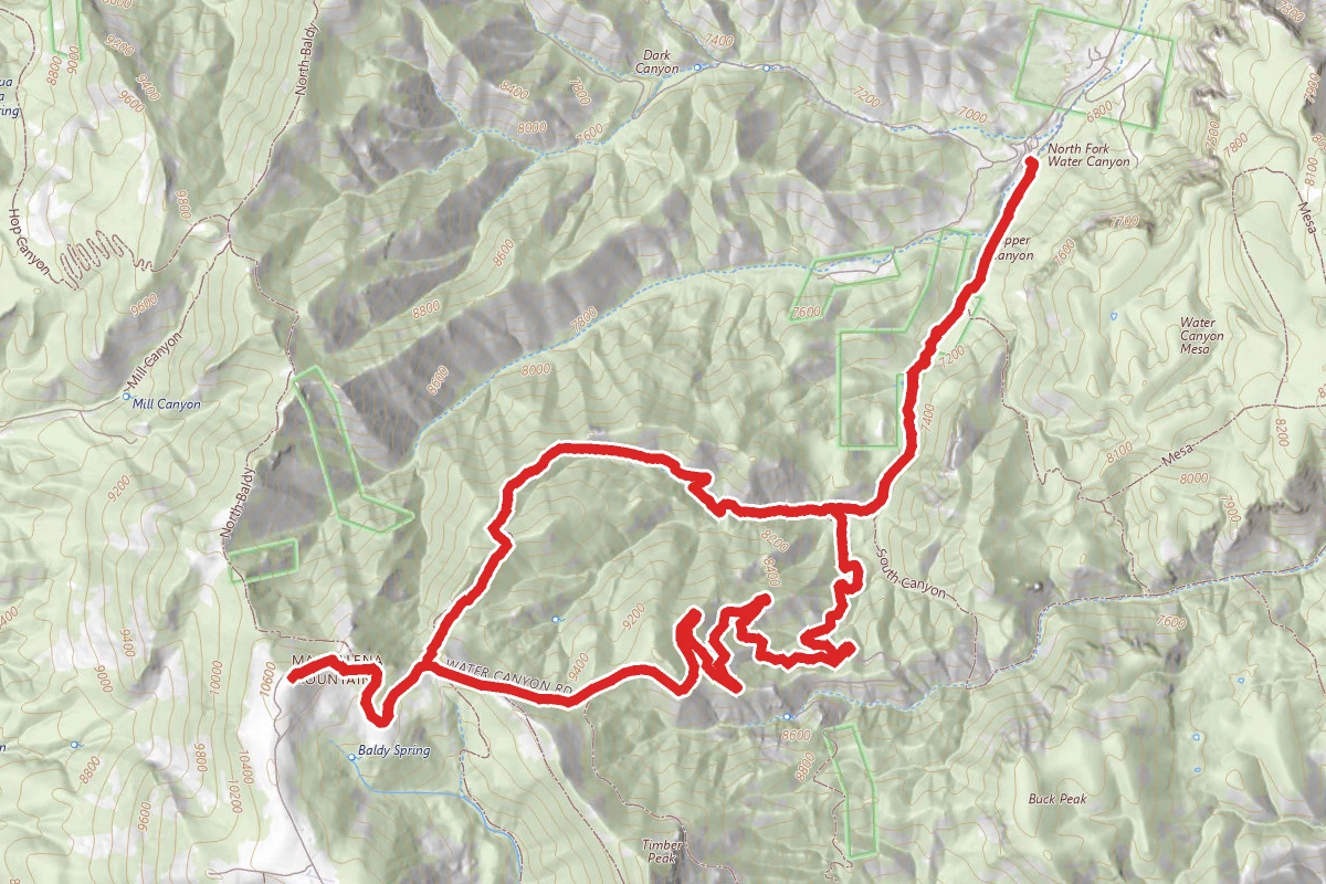 South Baldy Trail