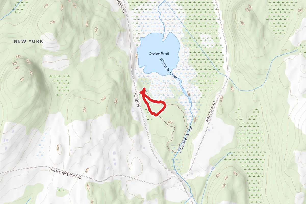 Carters Pond Trail