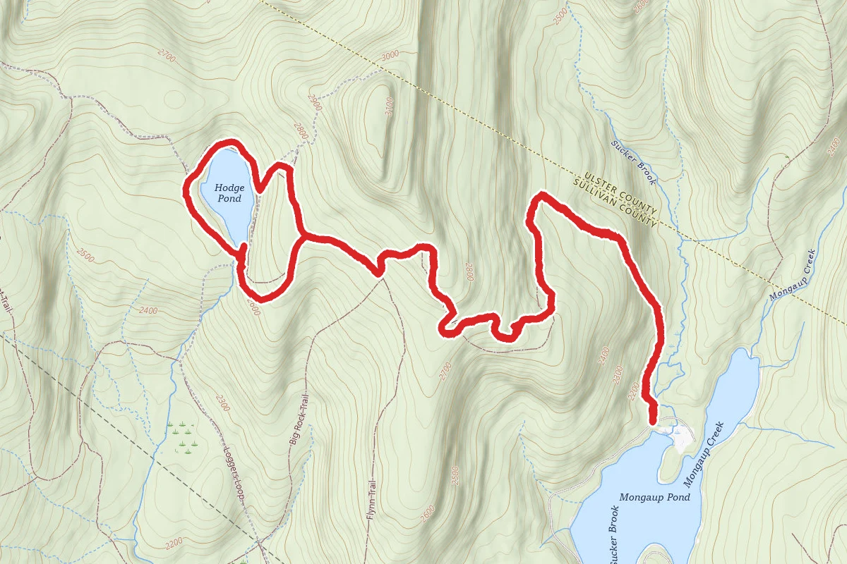 Mongaup Pond to Hodge Pond Trail