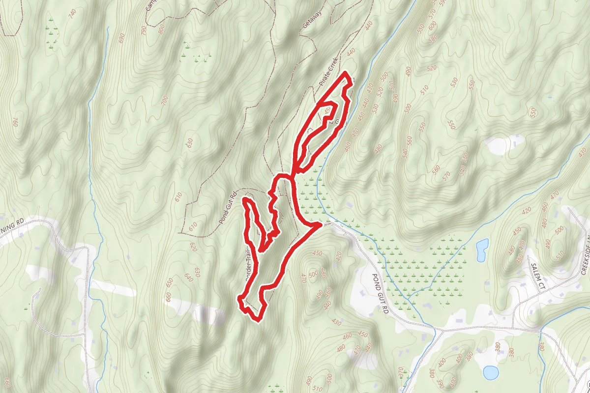 Pond Gut Yellow Trail Loop