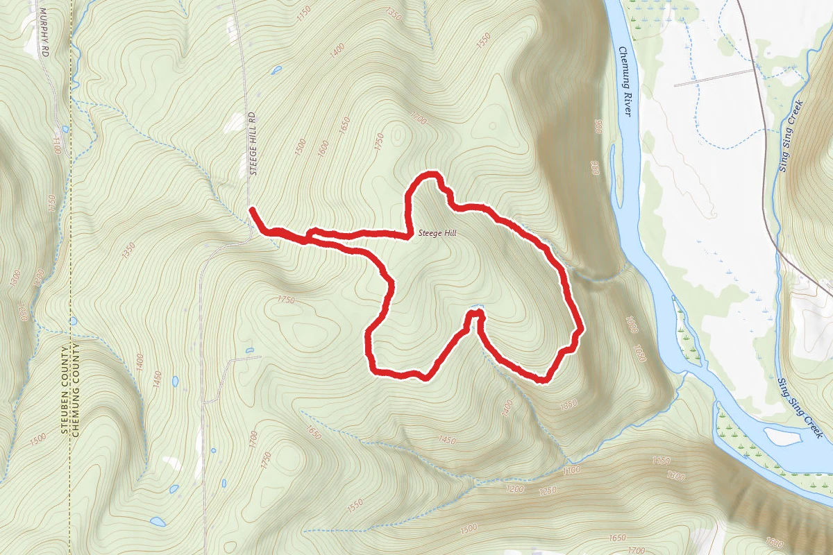 Steege Hill Black, White, Blue, Red, and Yellow Loop