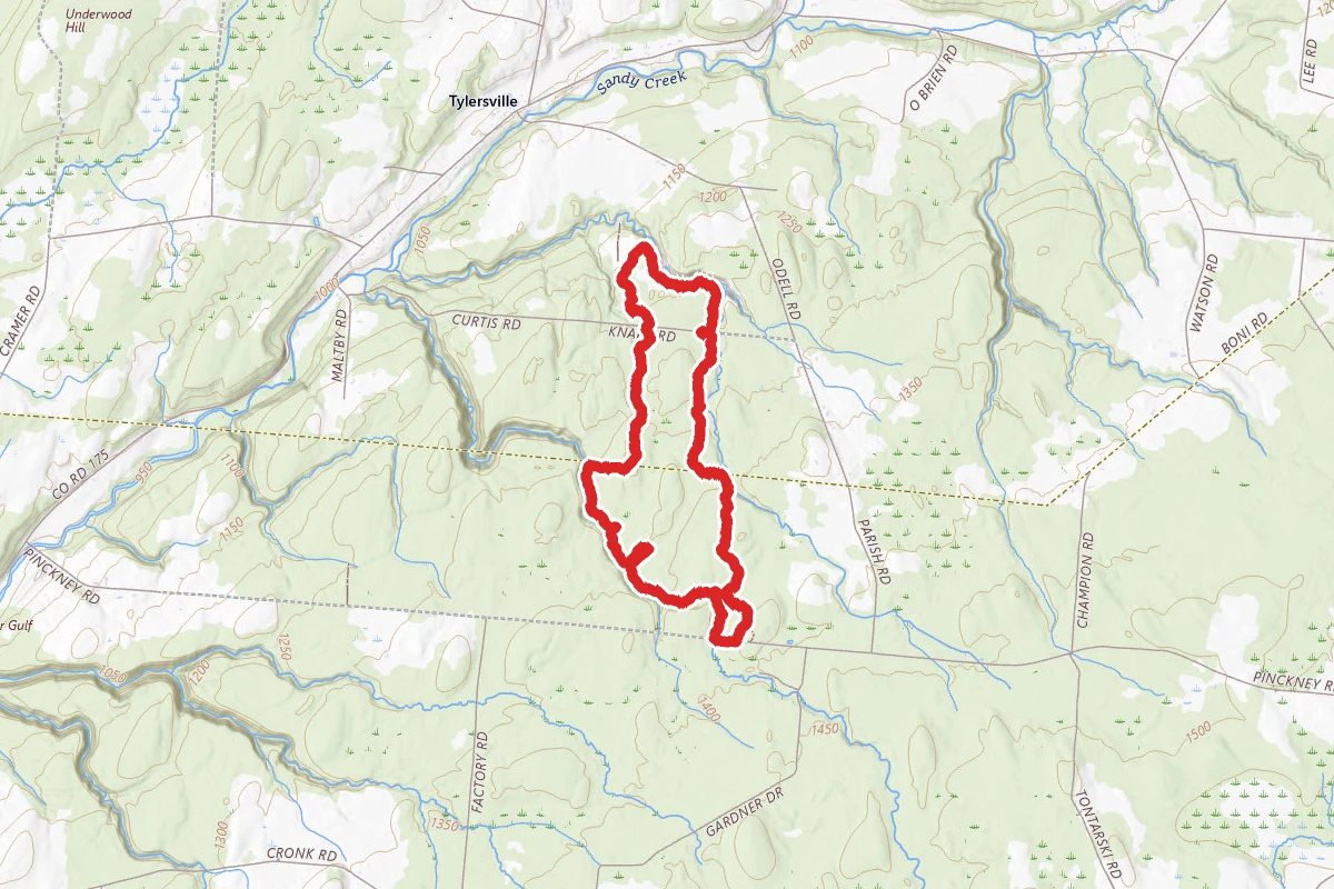 Pinckney Loop Trail