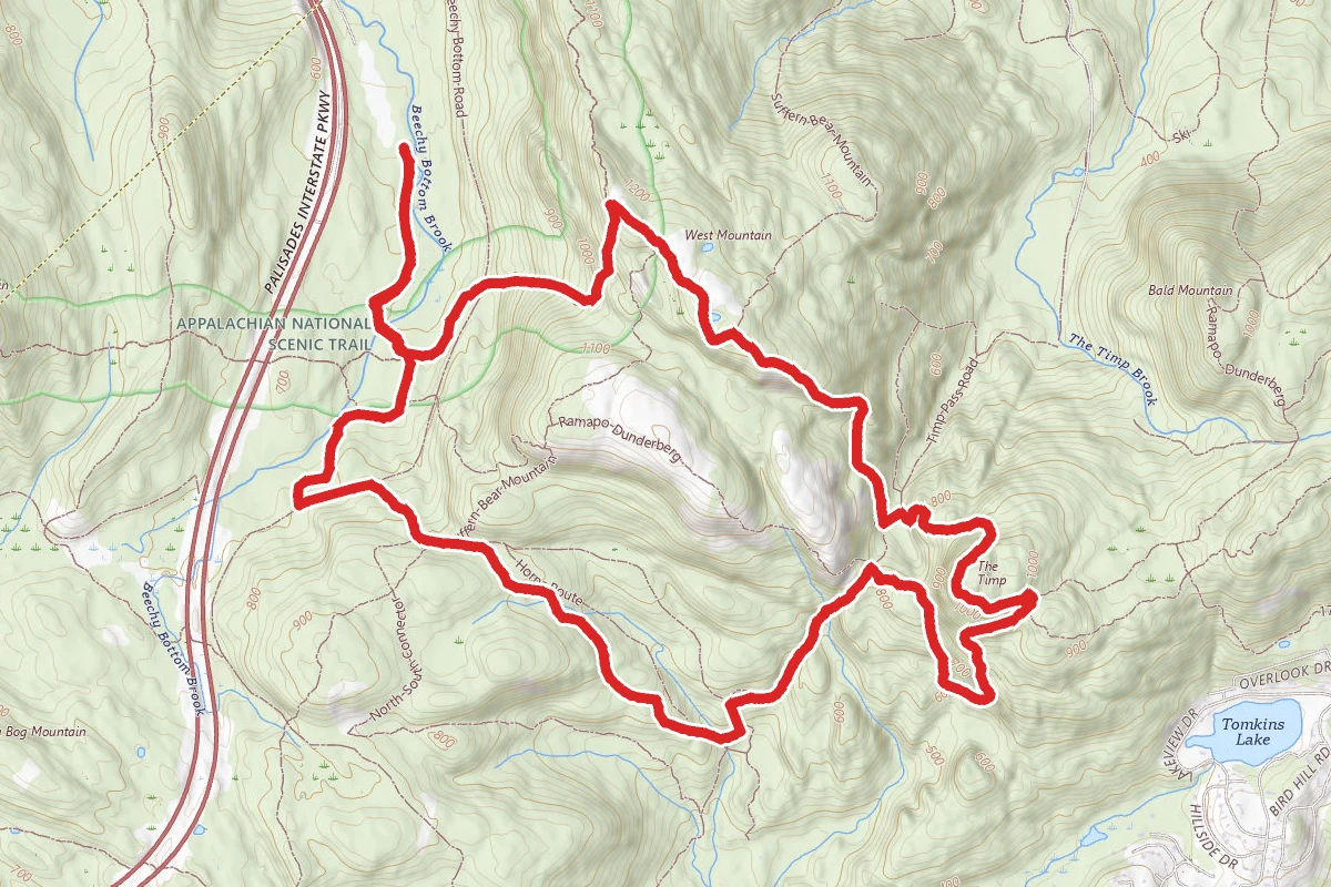 The Timp