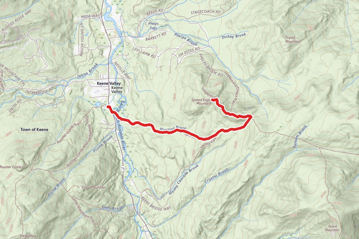 Spread Eagle Mountain via Mossy Cascade Trail