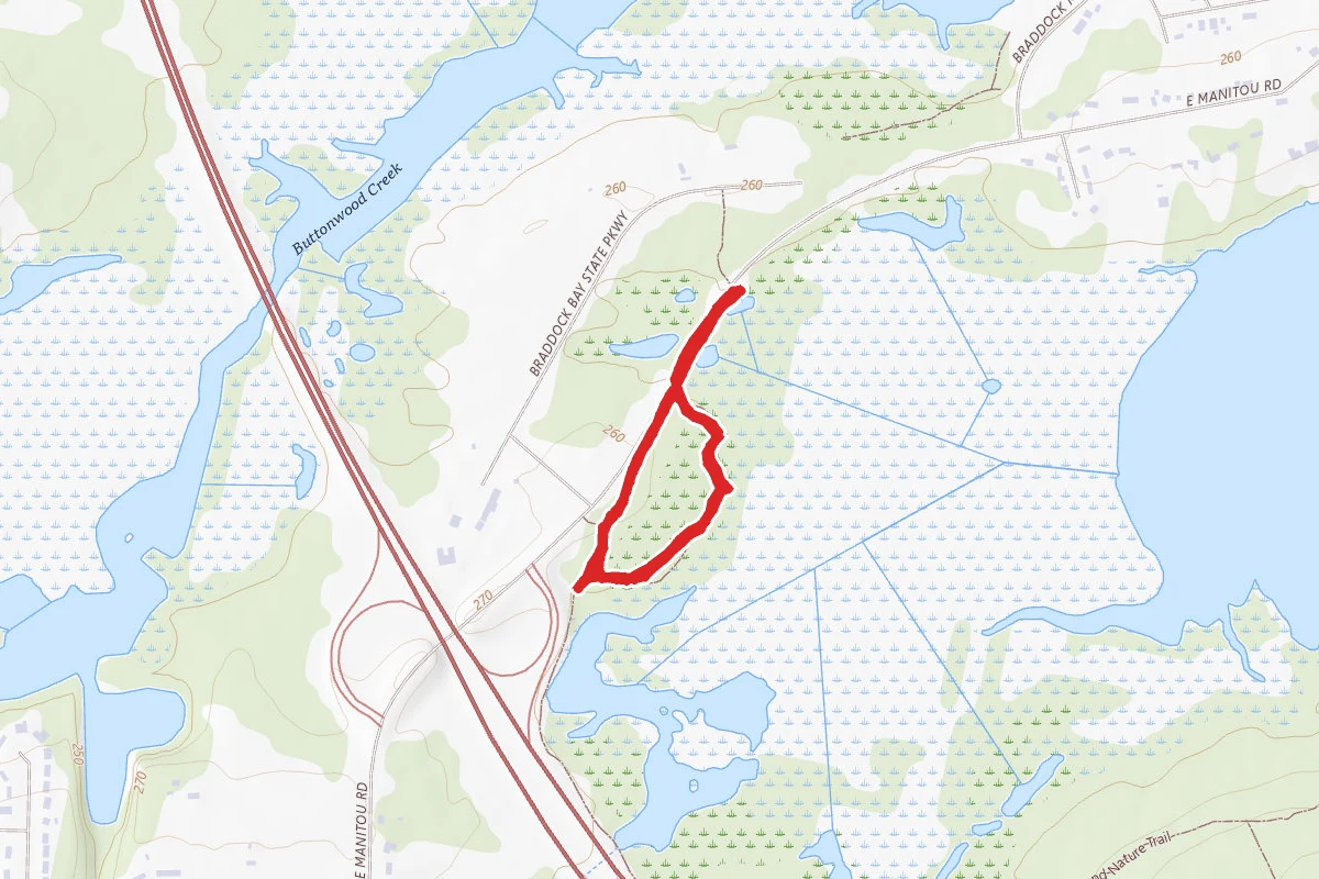 Braddock Bay Trails