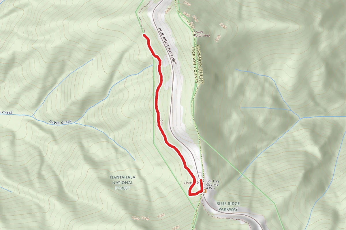 Licklog Gap Overlook