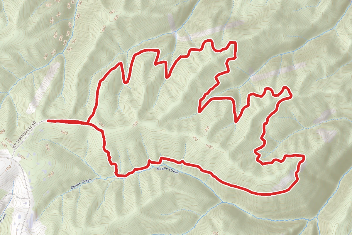 Wildwood Loop Trail