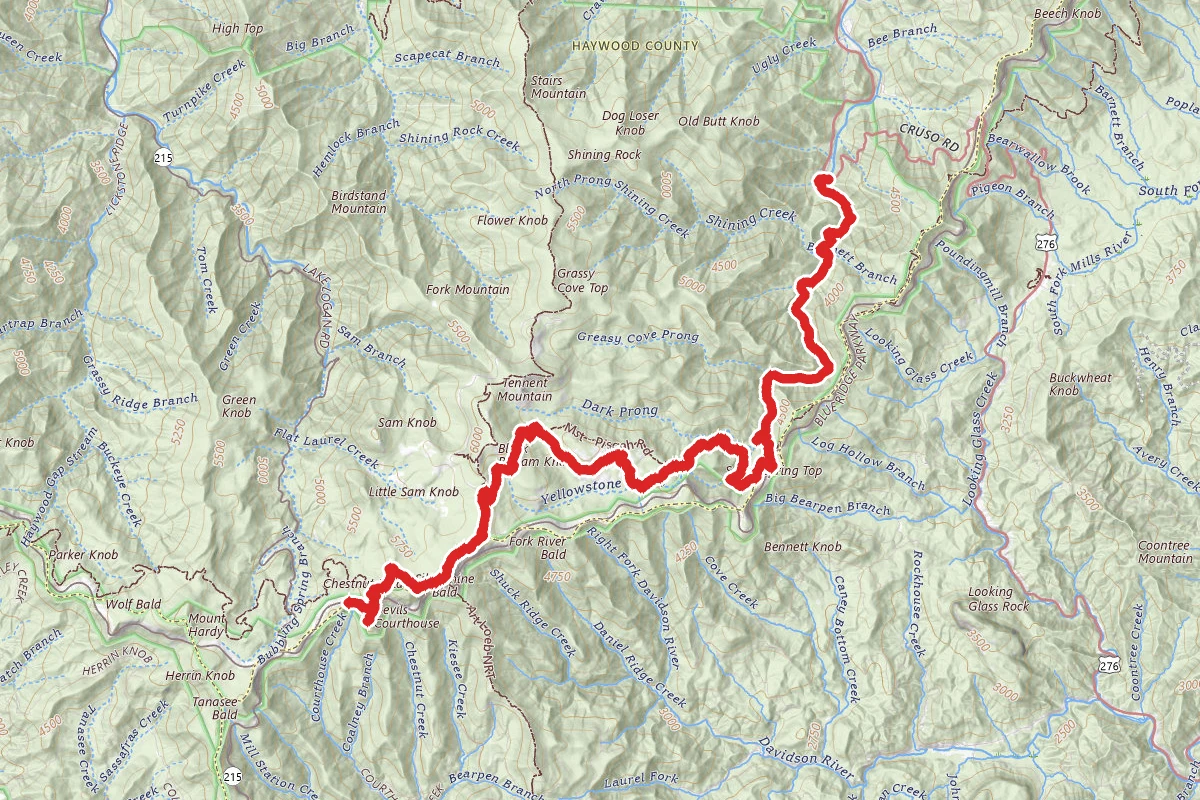 Art Loeb, Graveyard Ridge, Bridges Camp Gap and Big East Fork Trail
