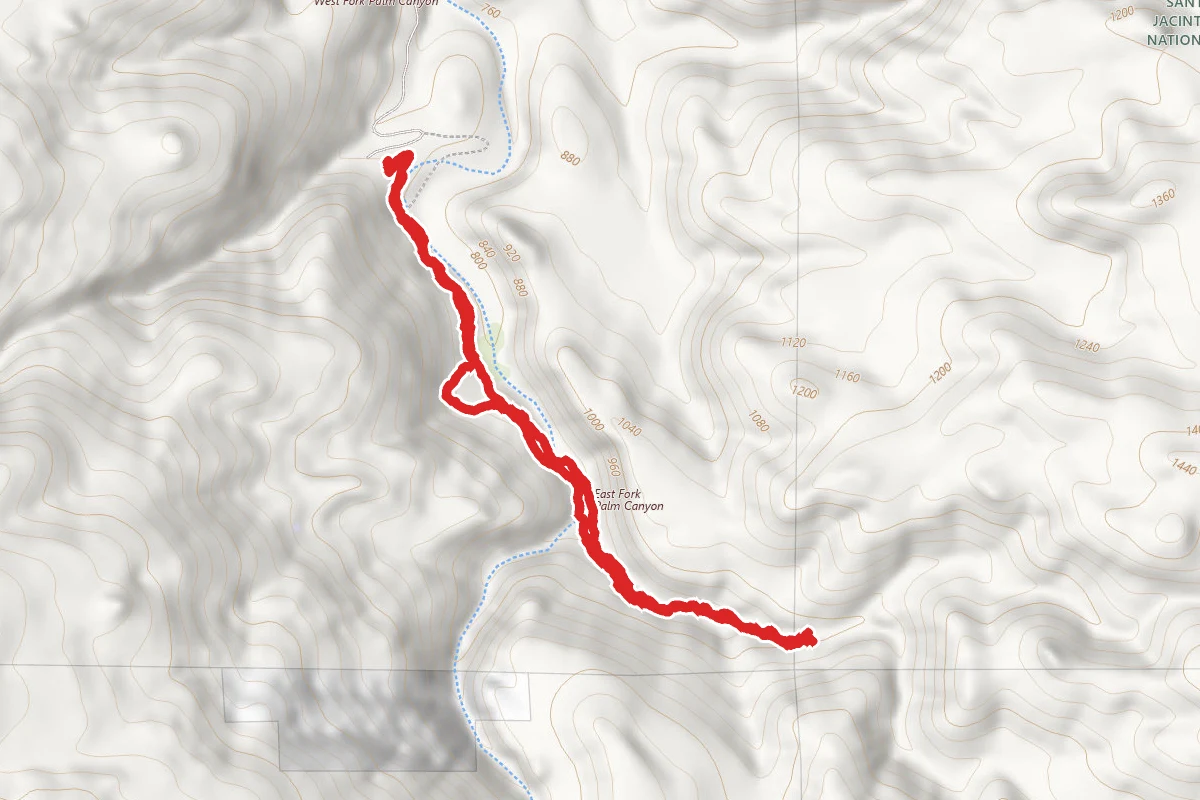 Palm Canyon Trail