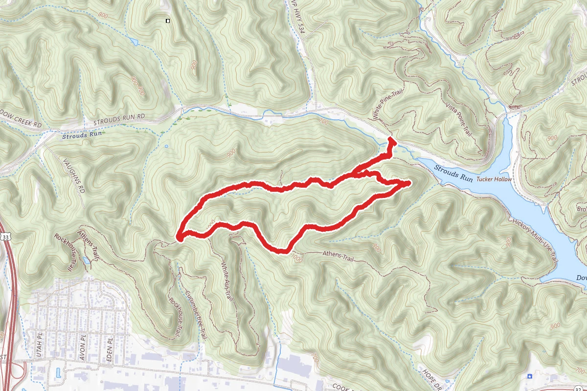 Trace and Finger Rock Loop
