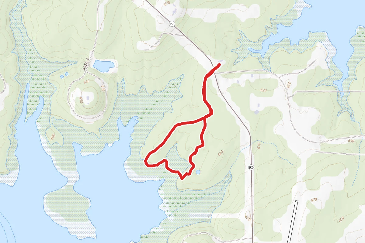 Savannah Loop