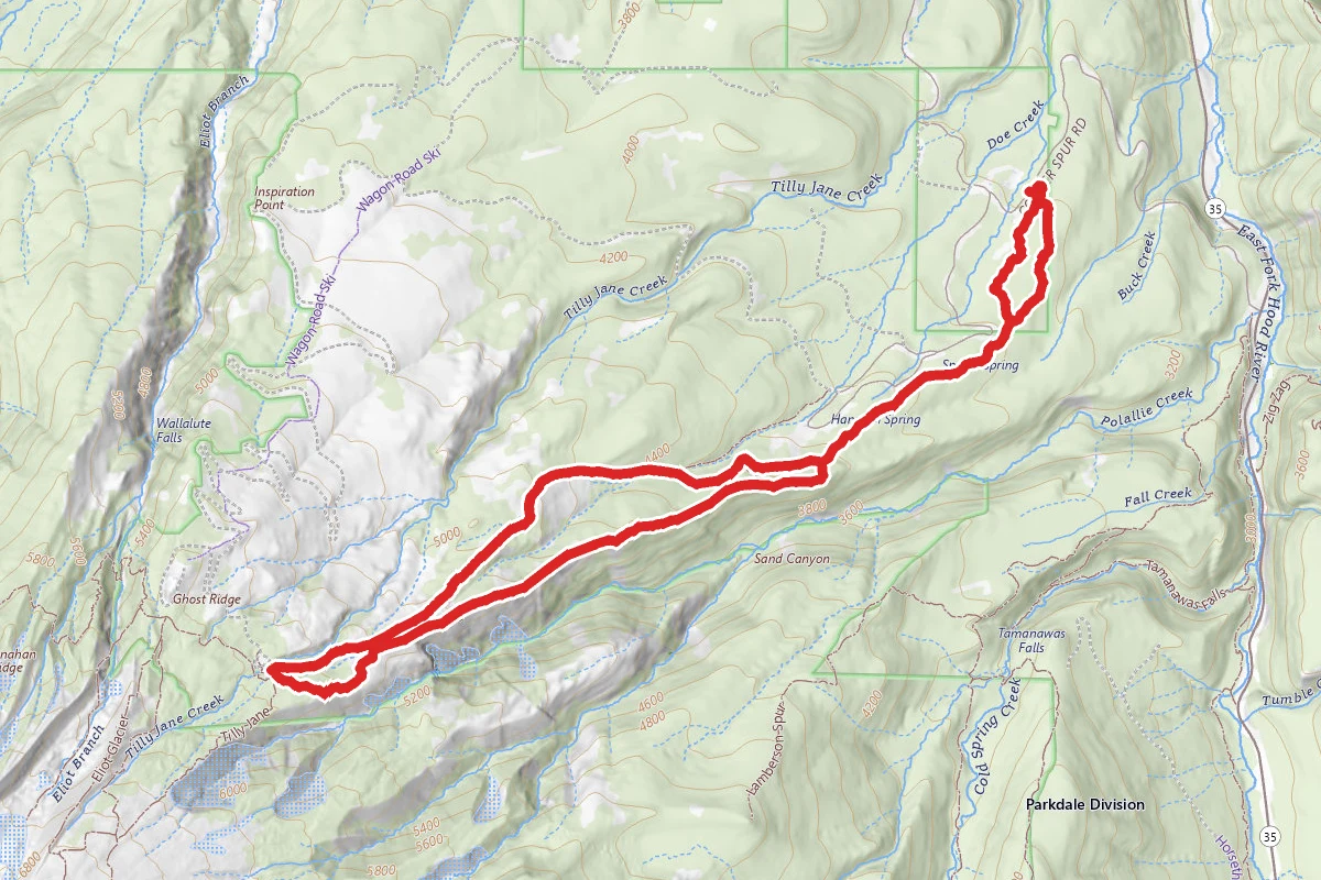 Polallie Ridge Trail to Tilly Jane Ski Trail Loop
